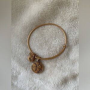 Alex and Ani Friendship Bracelet